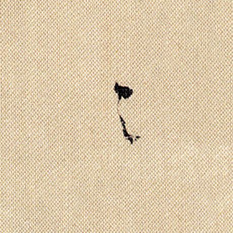 字：之 书法家：米芾 作品：《蜀素帖》