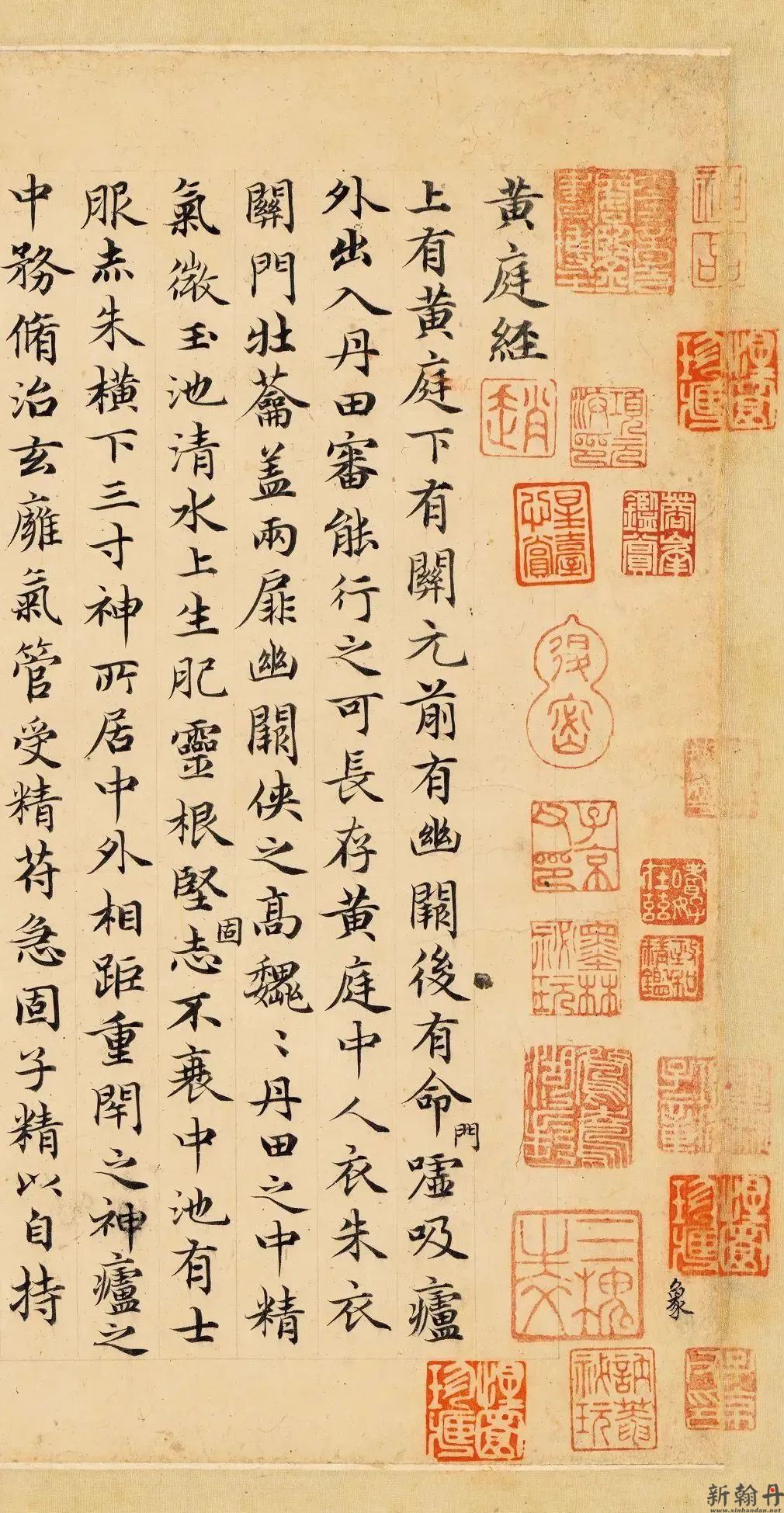 赵孟頫临黄庭经 1.82..