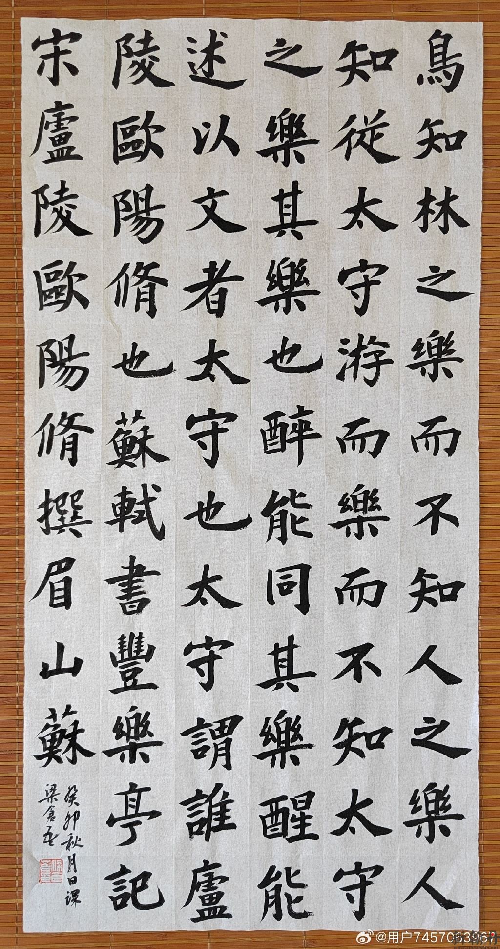 临写北宋书法家苏轼字帖大字楷书