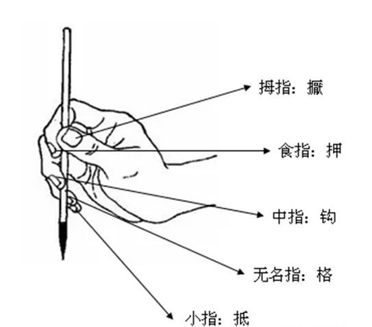 毛笔执笔法与姿势---五字执笔法